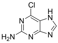 2-氨基-6-氯嘌呤，98%