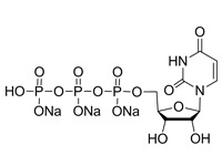 5’-三磷酸尿苷三鈉(UTP)，99%