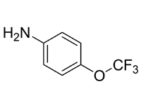 4-三氟甲氧基苯胺，99%（GC)