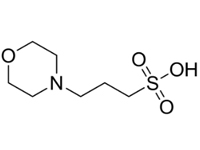 3-（N-嗎啡啉）丙磺酸，96% 